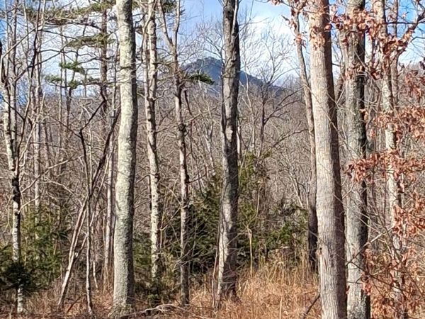 0 (Lot 2) Meadors Mill RD , Bedford, VA 24523