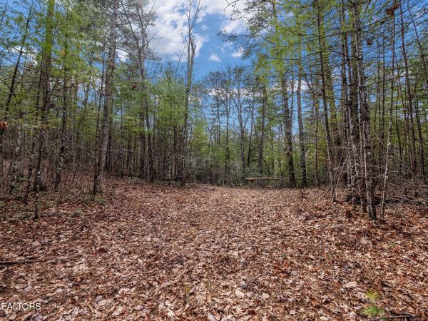 Lot 14 Paint Horse Way, Sevierville, TN 37876