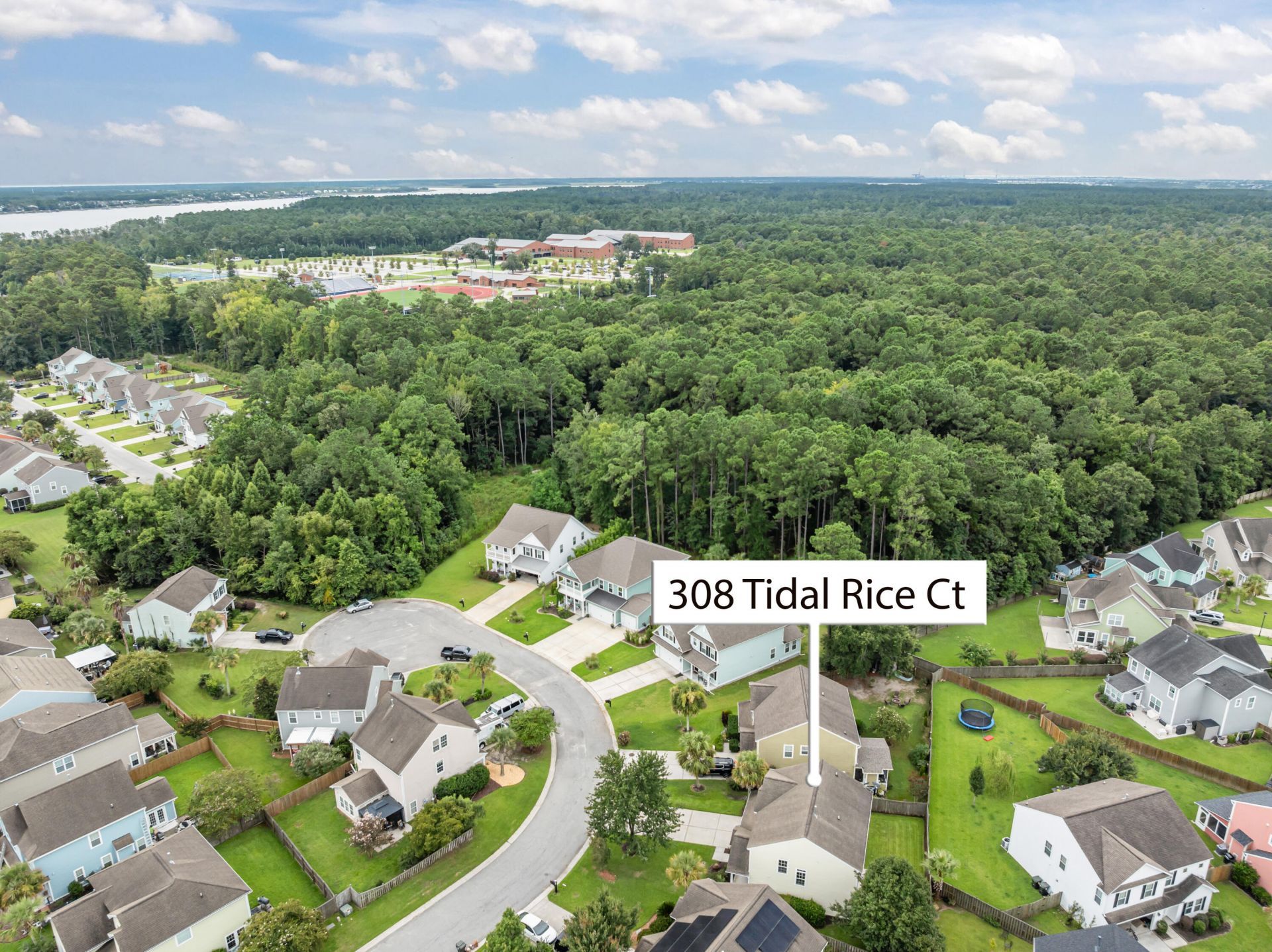 308 Tidal Rice Court Photo 16