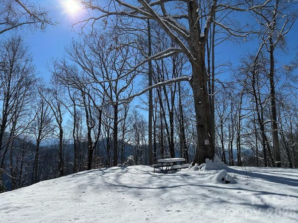 99999 North Fork Road, Barnardsville, NC 28709