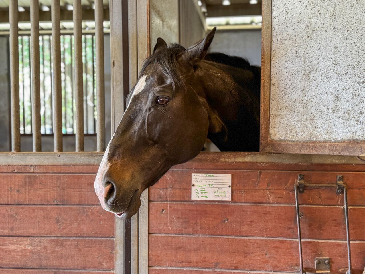 163 Keans Neck Road Photo 18