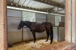 163 Keans Neck Road photo 4