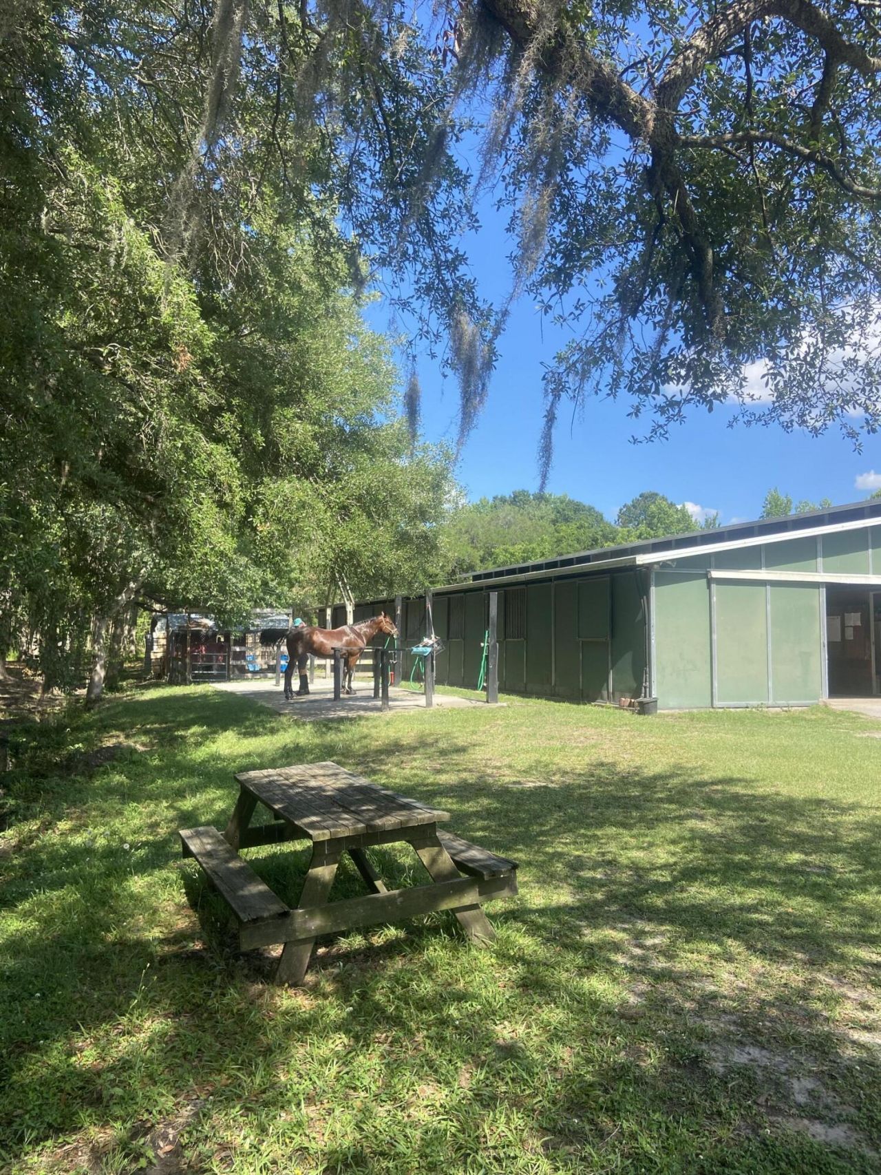 163 Keans Neck Road Photo 42