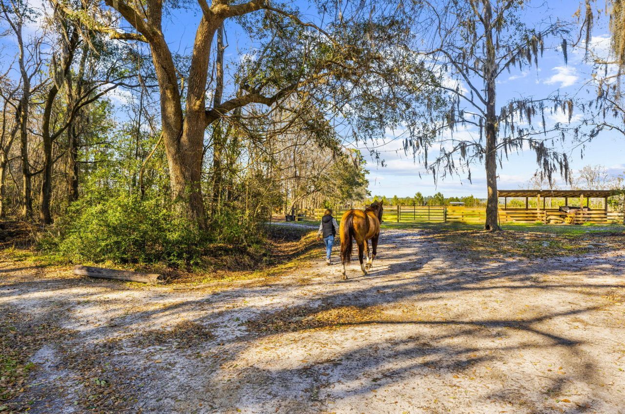 163 Keans Neck Road Photo 51