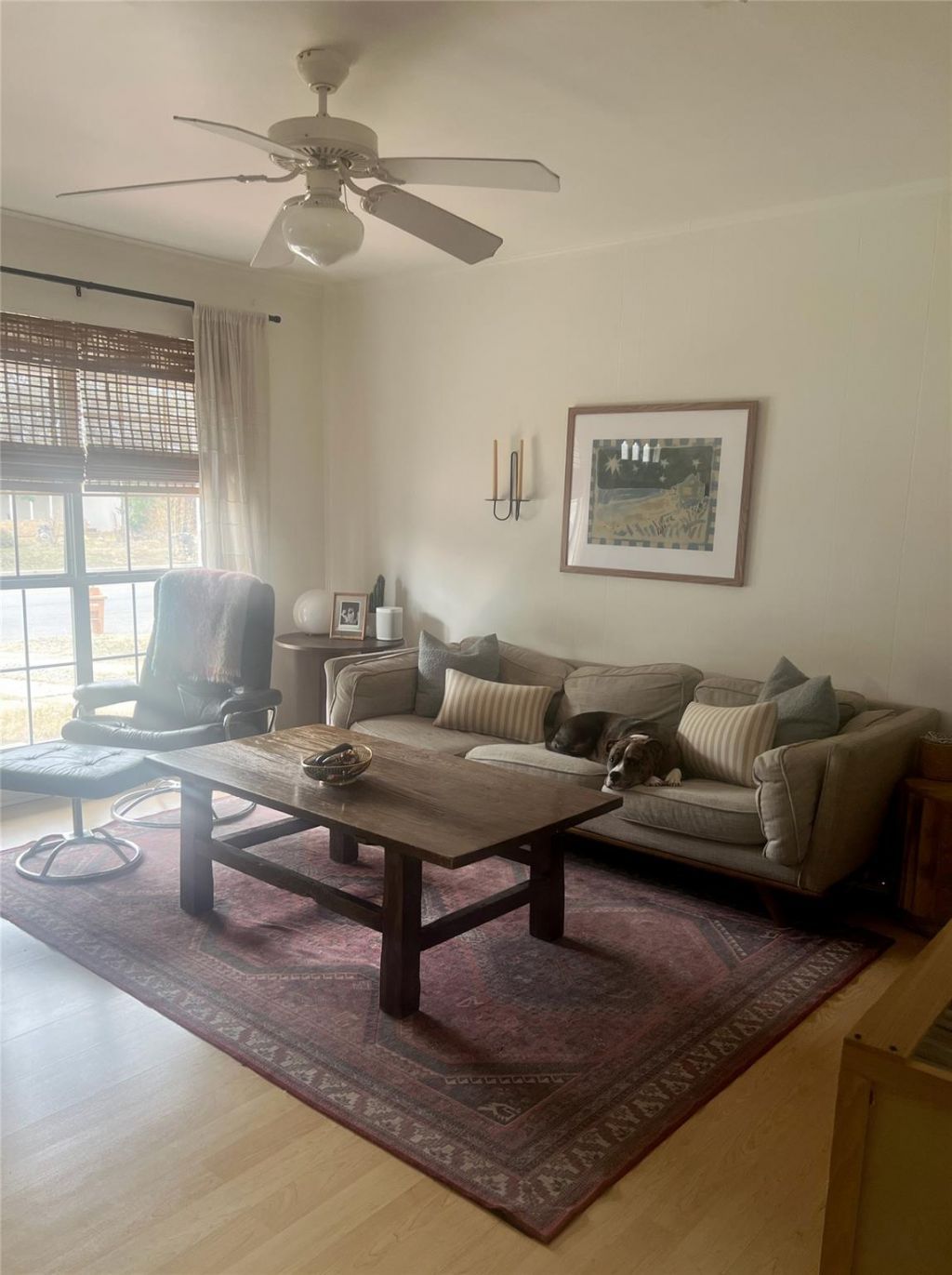 204 S Sheraton Ave, Austin, TX 78745 Main Photo