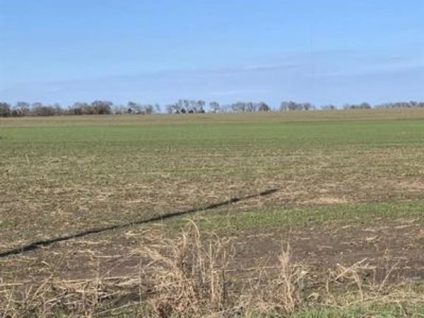 0000 Airport Road, Tioga, TX 76271