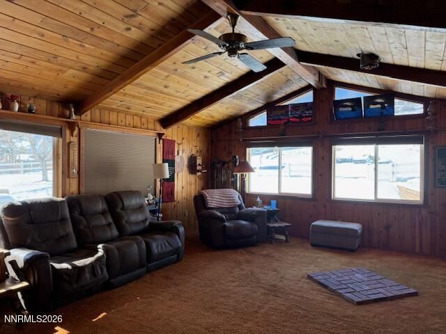 920 Ruby Court, Carson City, NV 89705 Photo