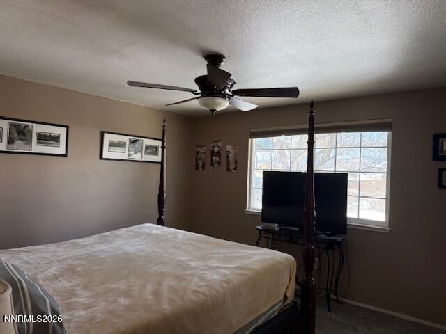 920 Ruby Court, Carson City, NV 89705 Photo