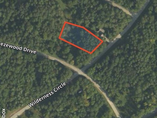 Lot 35 Wilderness Drive, Unit 35, Mancelona, MI 49659