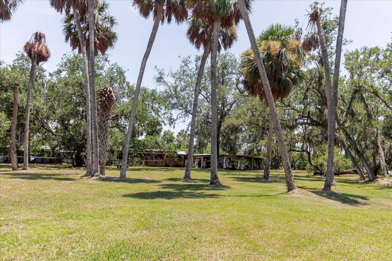 12115 S Us Hwy 41 , Gibsonton, FL 33534 Photo