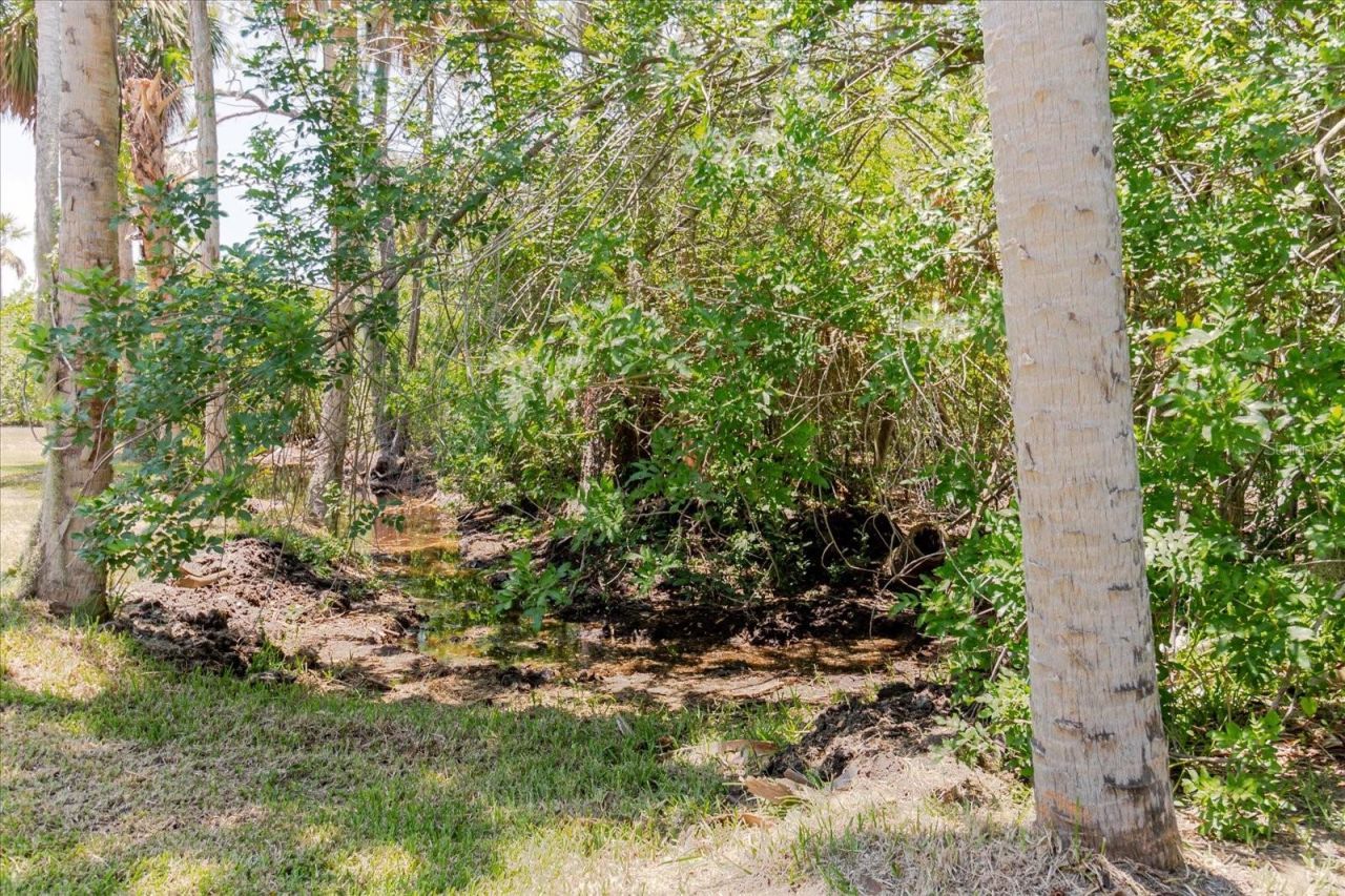 12115 S Us Hwy 41 , Gibsonton, FL 33534 Photo