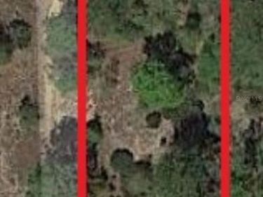 326 ELM TRAIL , INTERLACHEN, FL 32148