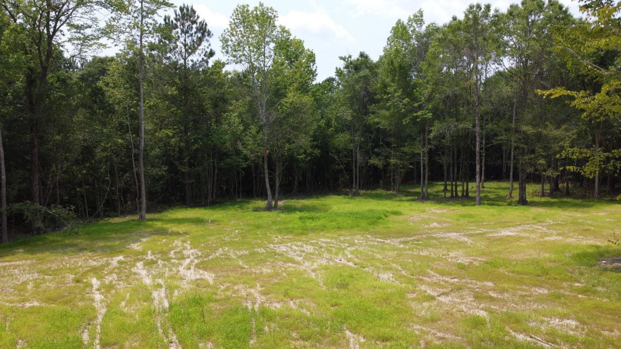 777 Crystal Lake Trail Photo 10