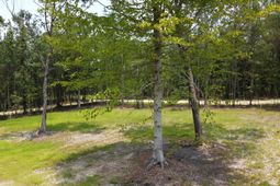 777 Crystal Lake Trail photo 4