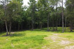 777 Crystal Lake Trail photo 4