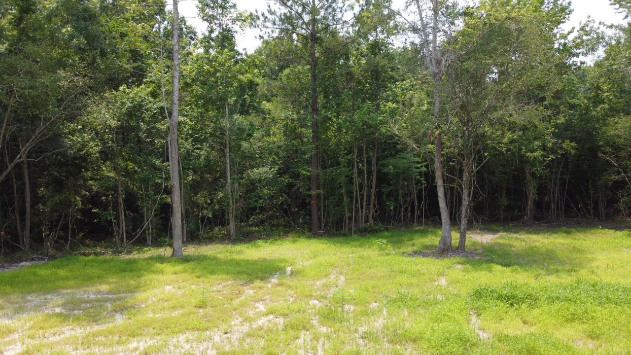 777 Crystal Lake Trail Photo 4