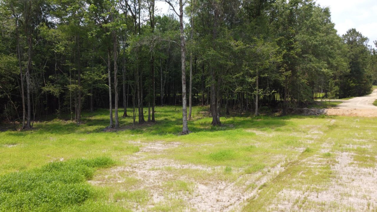 777 Crystal Lake Trail Photo 6