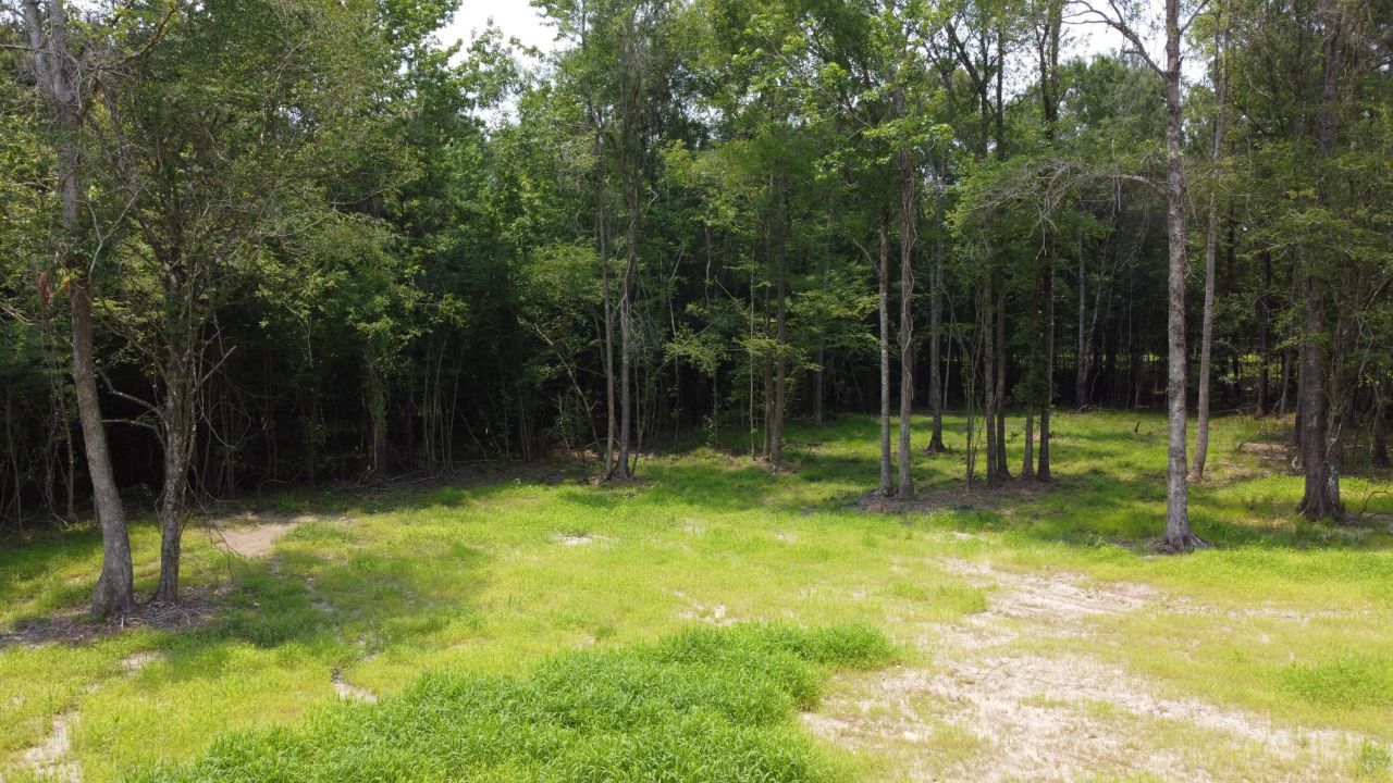 777 Crystal Lake Trail Photo 7