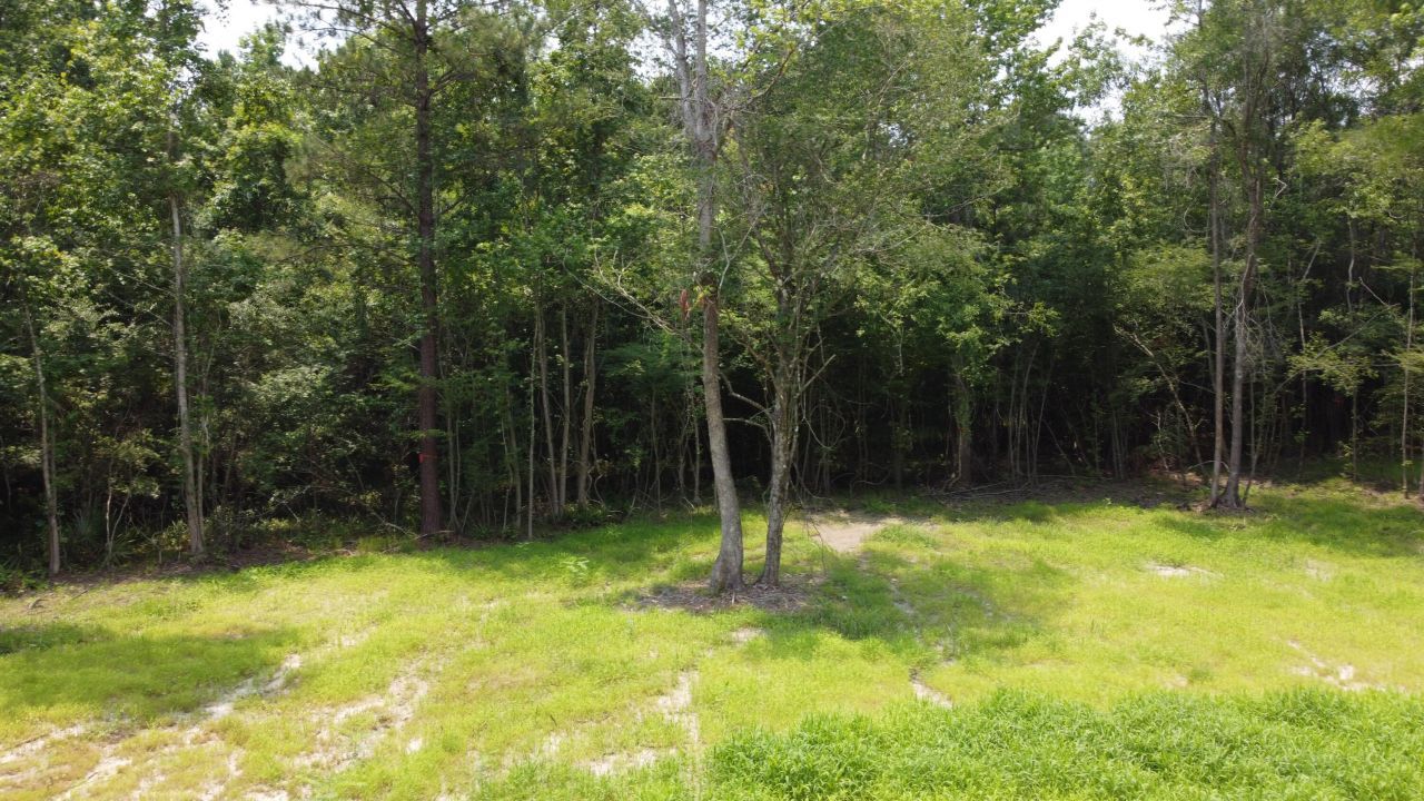 777 Crystal Lake Trail Photo 8