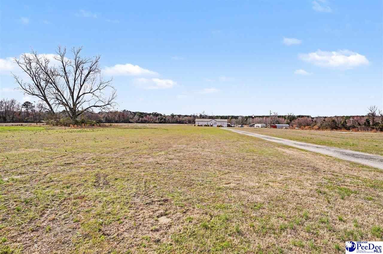 1619 Grain Bin Rd Photo 4