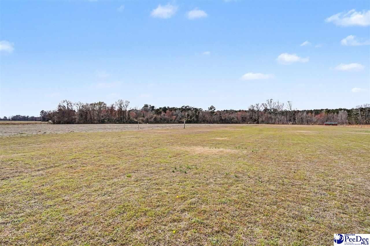 1619 Grain Bin Rd Photo 5