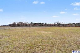 1619 Grain Bin Rd photo 4