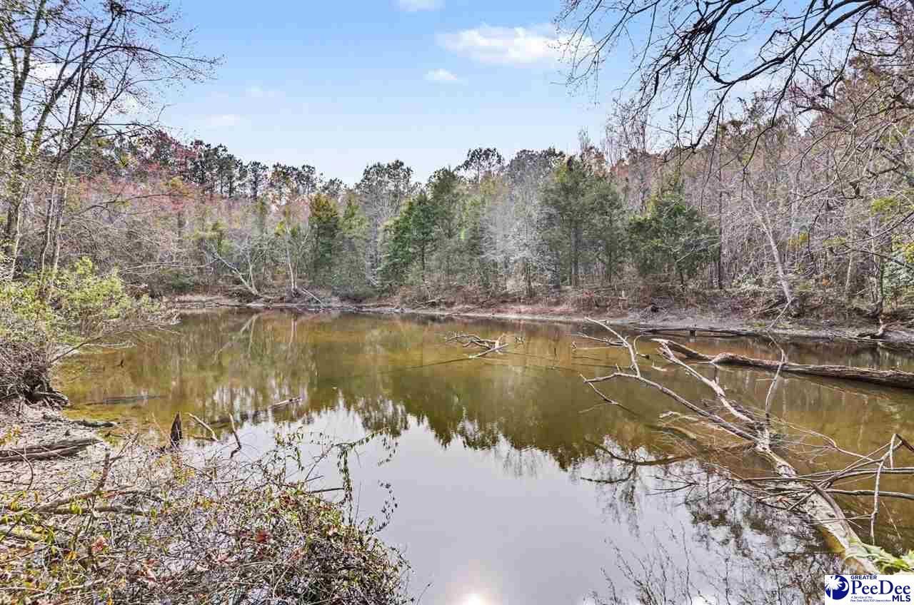 1619 Grain Bin Rd Photo 7