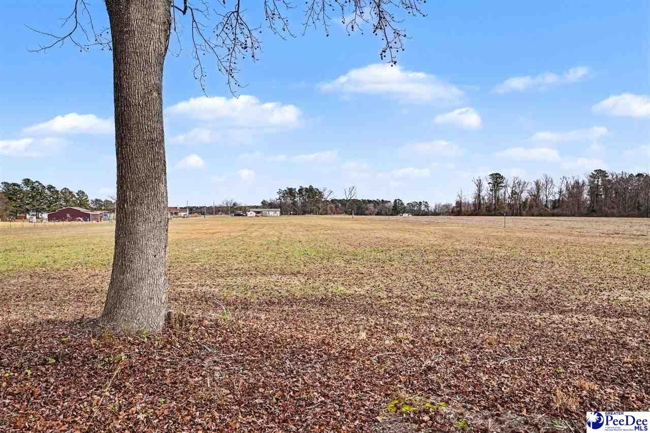 1619 Grain Bin Rd Photo 9