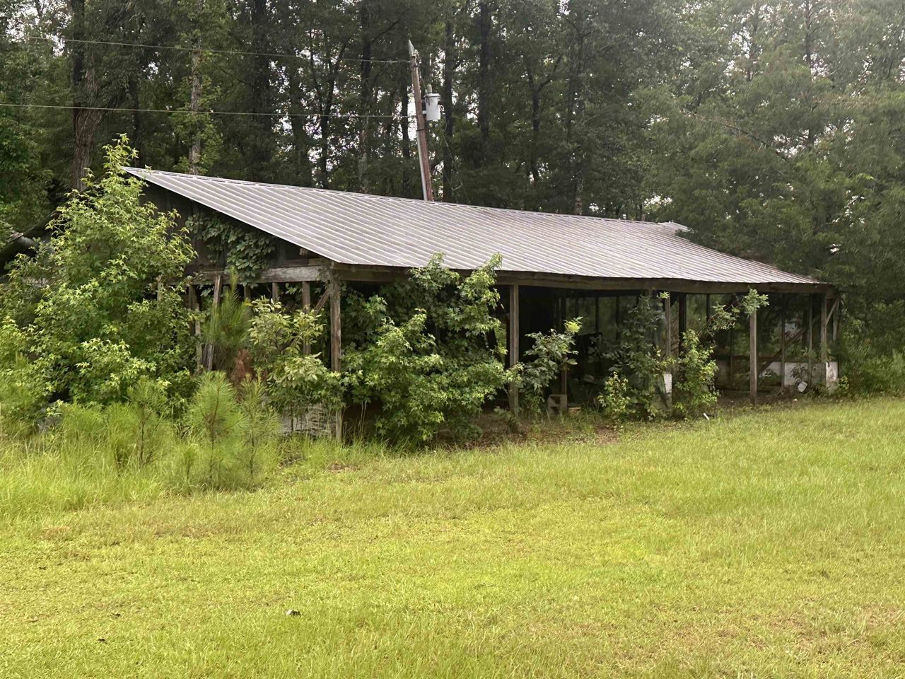 289 Persimmon Road , Sopchoppy, FL 32358 Photo