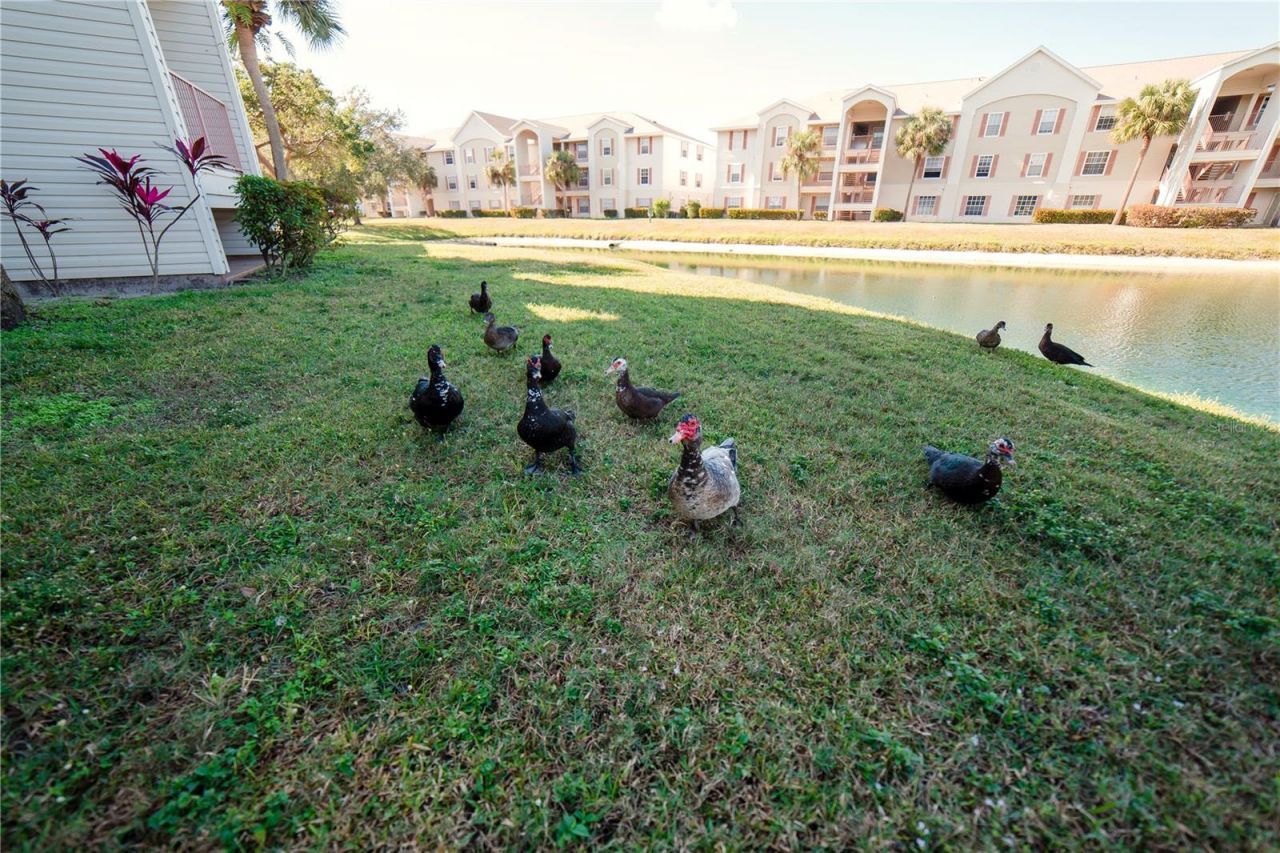 1771 Four Mile Cove Parkway , Unit 1031, Cape Coral, FL 33990 Photo