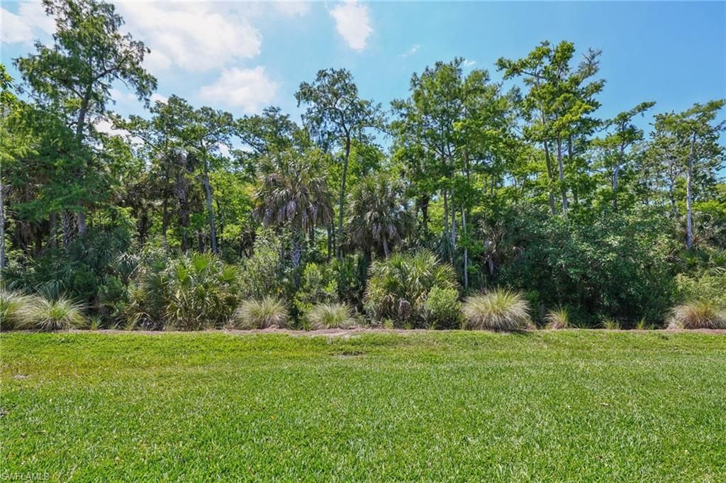 10395 Ventana Ln, Naples, FL 34120 Photo