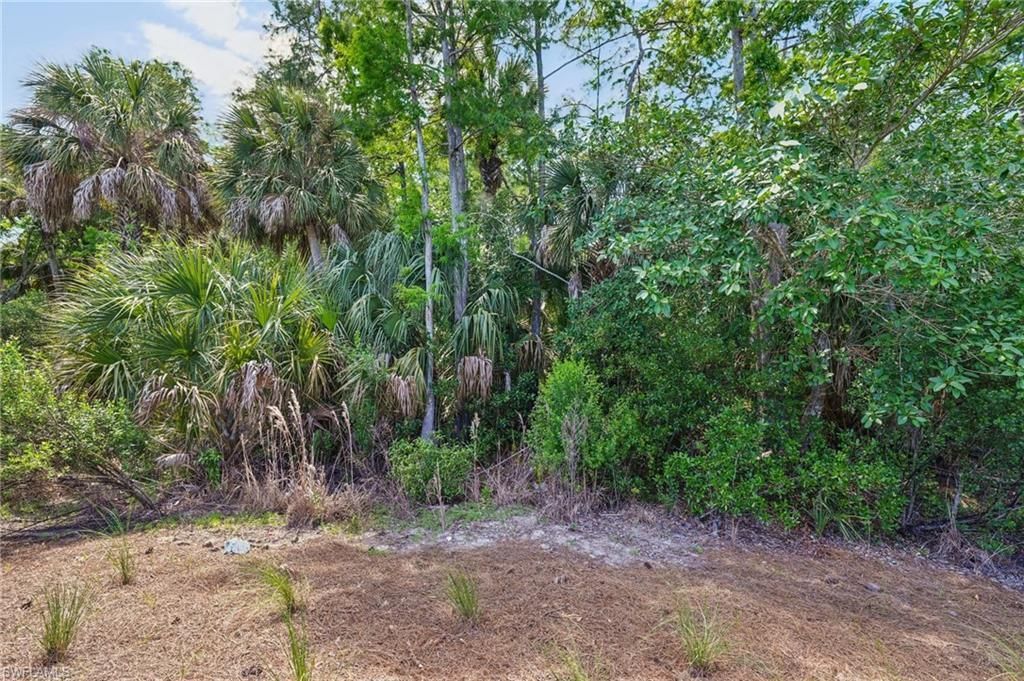 10395 Ventana Ln, Naples, FL 34120 Photo