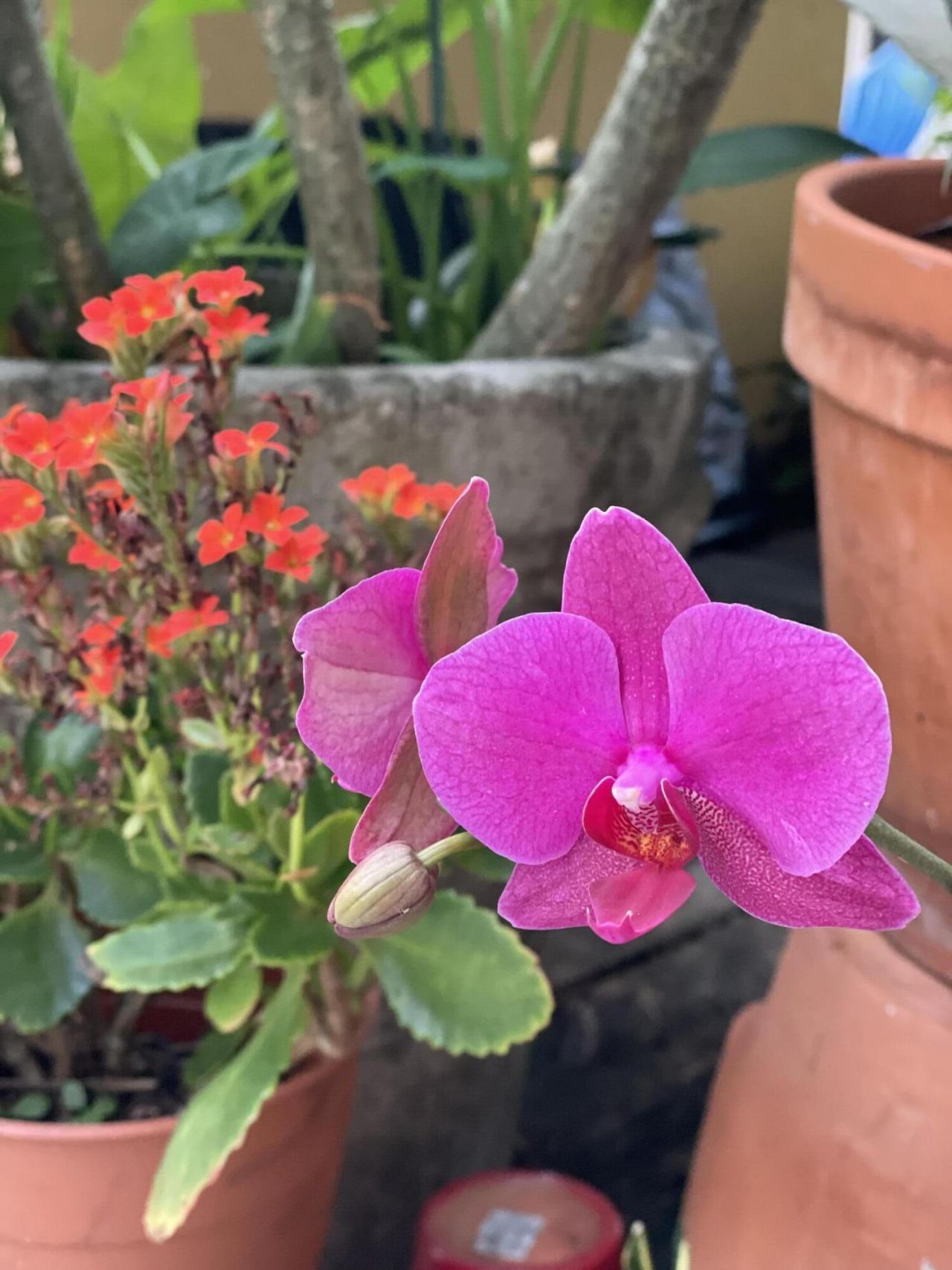 921 S M Street, Lake Worth Beach, FL 33460 Photo