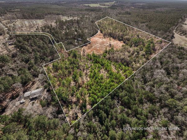 25 acres Boggy Hollow Rd., Purvis, MS 39475