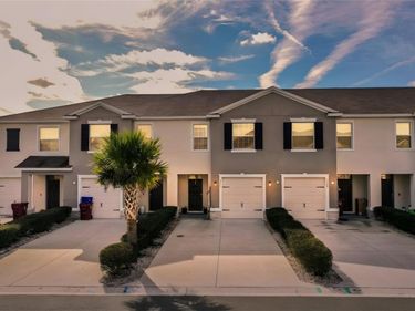 3551 MARIGOLD PATCH COURT , PLANT CITY, FL 33565