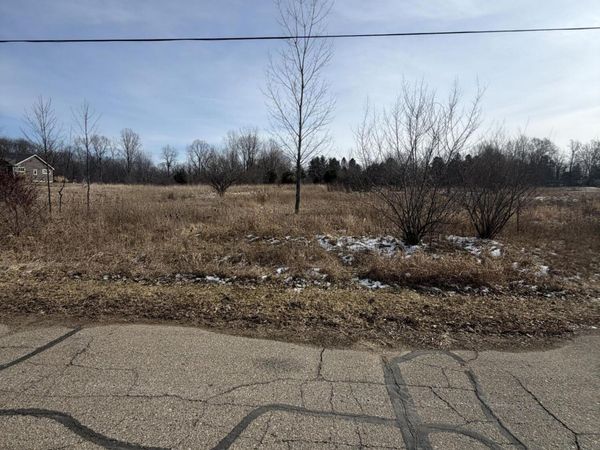 16831 Steiner Way, Lansing, MI 48906