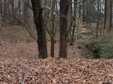 3262 Camens Way, Buford, GA 30519