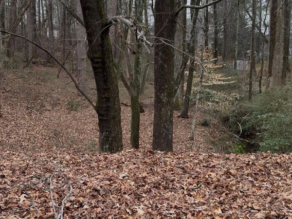 3262 Camens Way, Buford, GA 30519