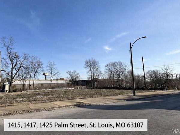 1417 Palm Street, St Louis, MO 63107
