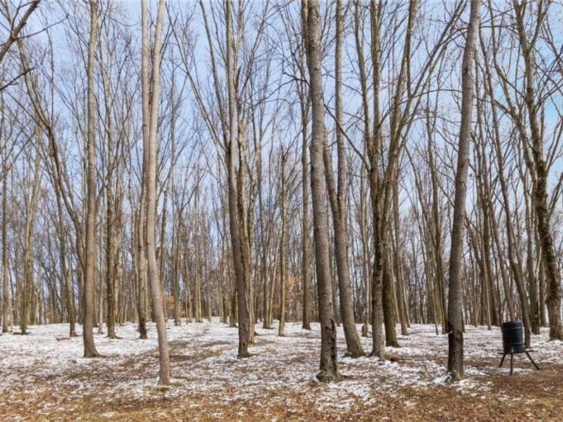 4491 Price Road NE, Newark, OH 43055 Photo 43