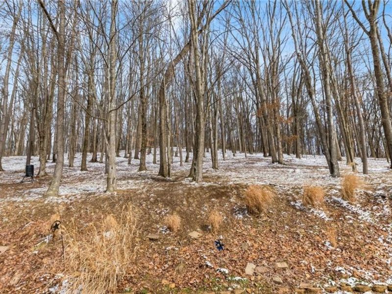 4491 Price Road NE, Newark, OH 43055 Photo 44