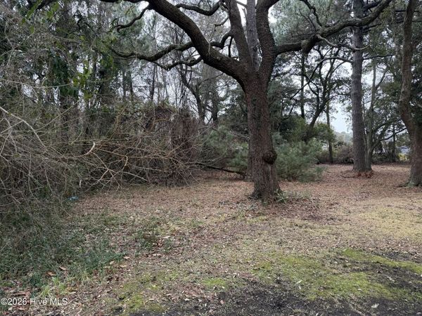 116 Willow Street, Beaufort, NC 28516