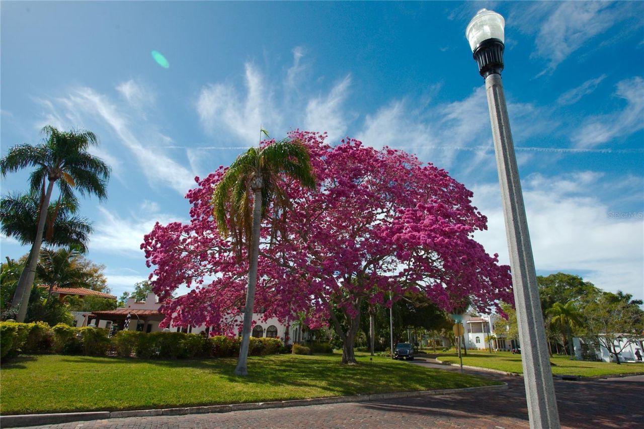 5167 Bay Isle Circle , Clearwater, FL 33760 Photo