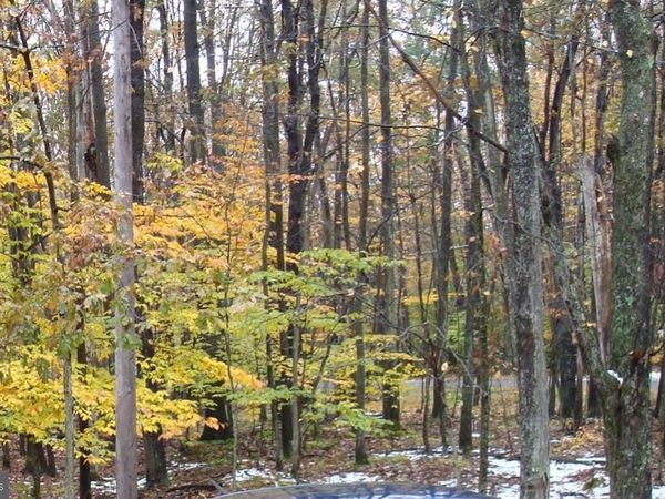 604/605 WAGNER WAY, POCONO LAKE, PA 18347