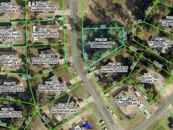 0 PINTADO AVENUE, SPRING HILL, FL 34609