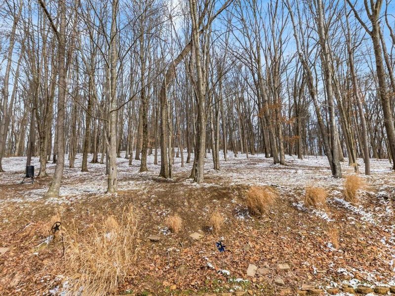 4491 Price Road NE, Newark, OH 43055 Photo 41