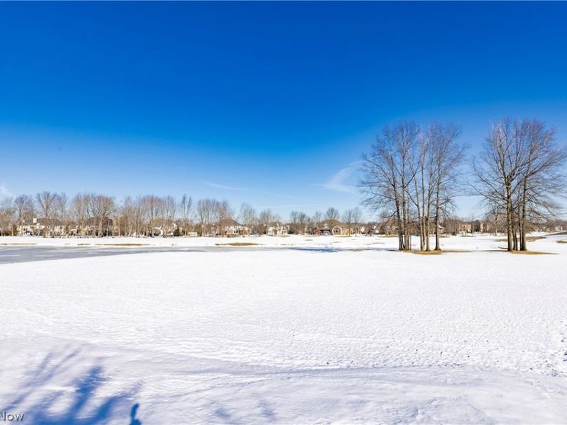 34348 Crown Colony Drive, Avon, OH 44011 Photo 41