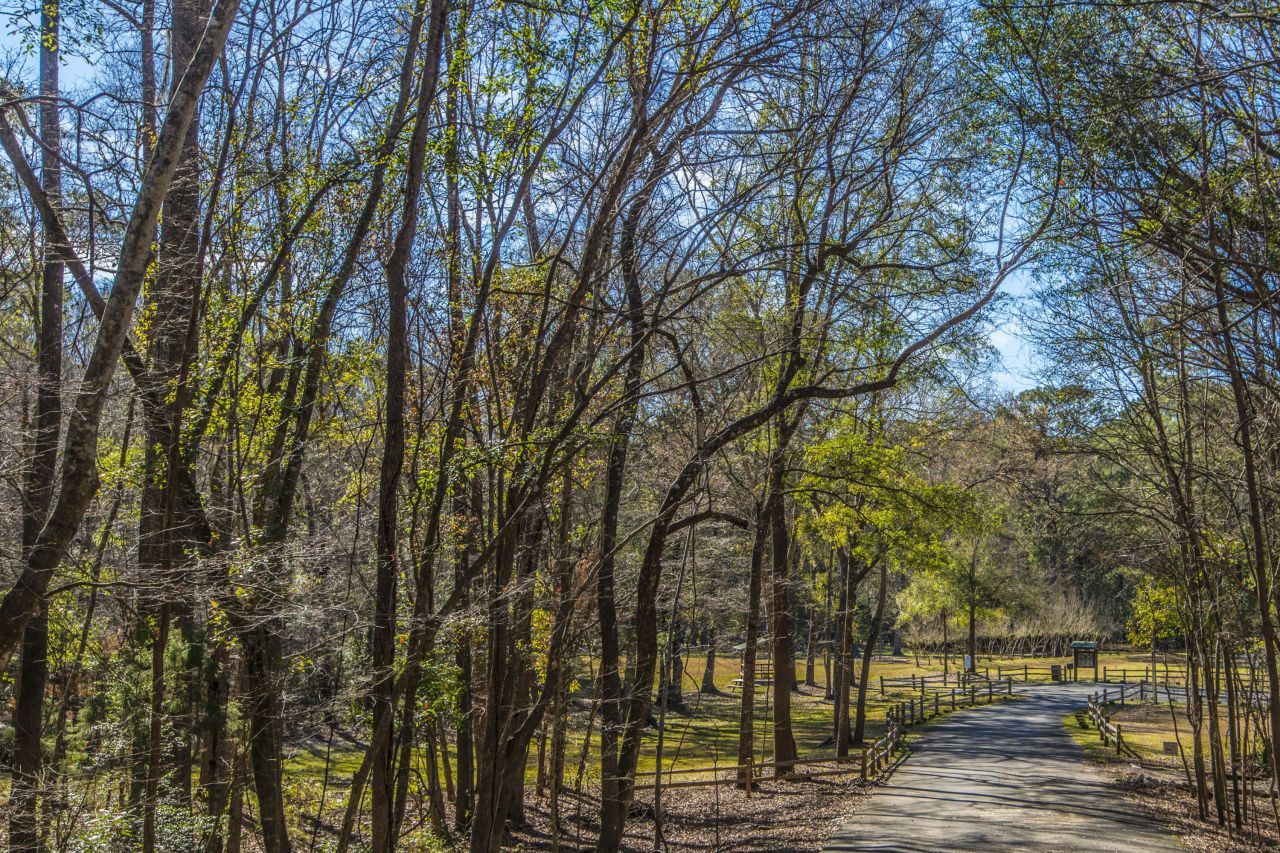 205 Woodlake Drive Photo 47