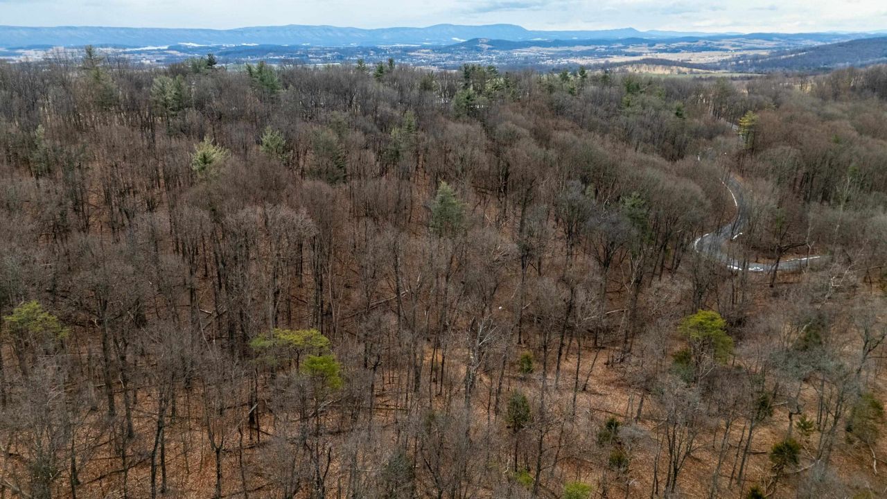 0 Vetters Rd, Timberville, VA 22853 Main Photo