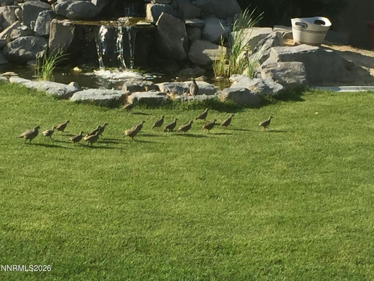 1034 Winters Parkway, Dayton, NV 89403 Photo